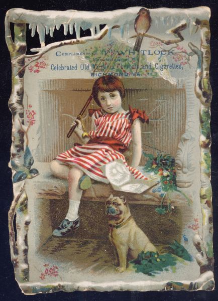 AP 1890 American Tobacco Old Virginia Cheroots